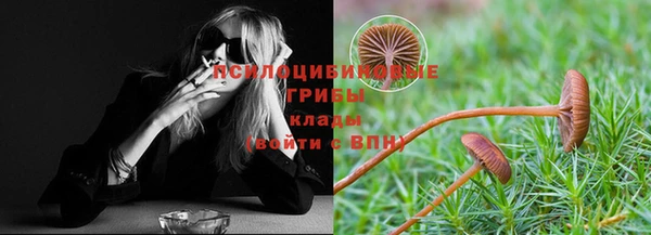 соль курить ск Верея